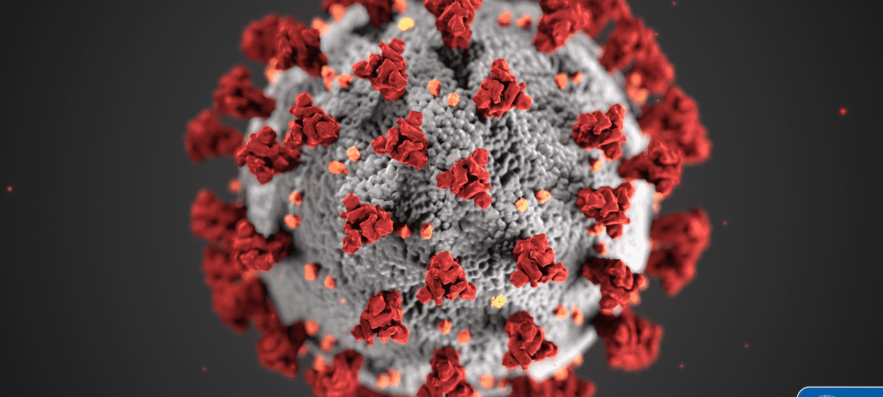 Zahl der Infizierten sinkt